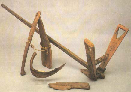 CHARRUA
